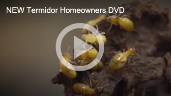 Termidor new home owners video